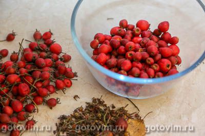 Компот из боярышника на зиму Компот из боярышника на зиму