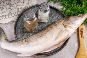 Судак слабосоленый Судак слабосоленый