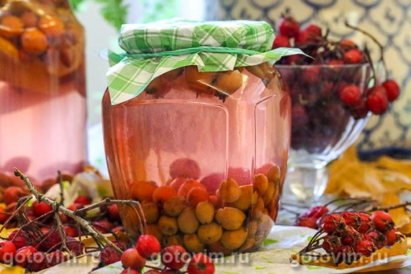Компот из боярышника на зиму Компот из боярышника на зиму