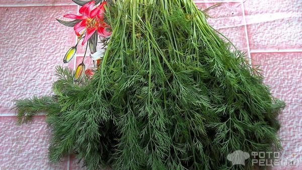 Рецепт: Сухая засолка зелени - Простая заготовка укропа на зиму без заморозки и сушки. Рецепт без весов. Рецепт: Сухая засолка зелени - Простая заготовка укропа на зиму без заморозки и сушки. Рецепт без весов.