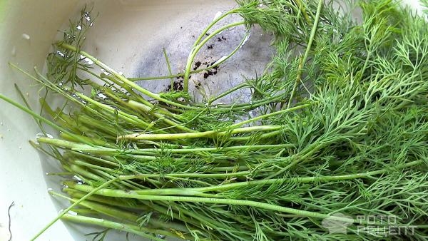 Рецепт: Сухая засолка зелени - Простая заготовка укропа на зиму без заморозки и сушки. Рецепт без весов. Рецепт: Сухая засолка зелени - Простая заготовка укропа на зиму без заморозки и сушки. Рецепт без весов.