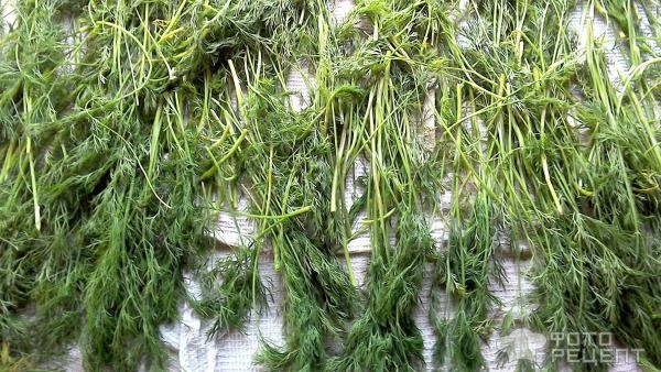 Рецепт: Сухая засолка зелени - Простая заготовка укропа на зиму без заморозки и сушки. Рецепт без весов. Рецепт: Сухая засолка зелени - Простая заготовка укропа на зиму без заморозки и сушки. Рецепт без весов.