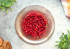 Наливки из ягод Наливки из ягод