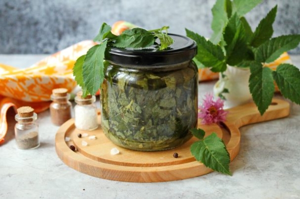 Квашеная сныть Квашеная сныть