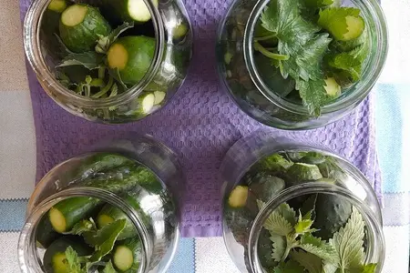 Маринованные огурцы с мятой Маринованные огурцы с мятой