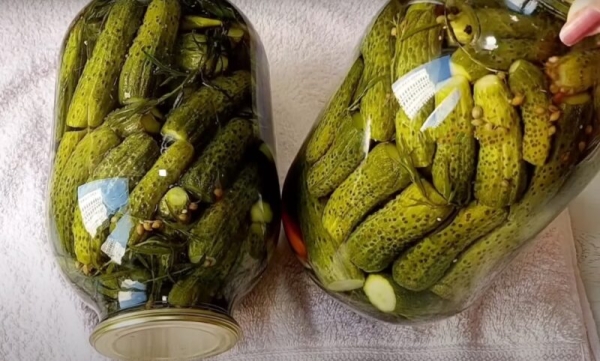 Как приготовить маринованные огурцы, которые будут таять во рту и хрустеть одновременно. Бабушкин метод