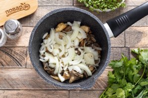 Чакапули из грибов Чакапули из грибов