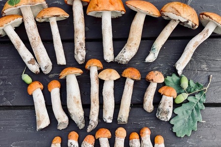 Самые вкусные маринованные грибы Самые вкусные маринованные грибы