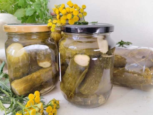 Маринованные огурцы Маринованные огурцы