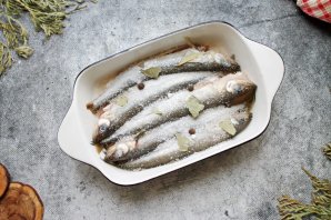 Корюшка сухого посола Корюшка сухого посола