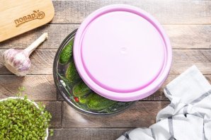 Малосольные огурчики