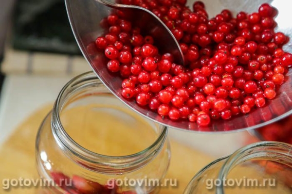 Компот из красной смородины с клубникой на зиму Компот из красной смородины с клубникой на зиму