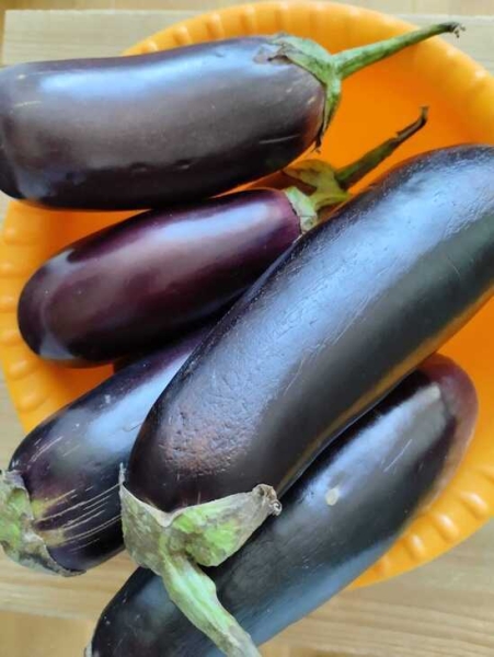 Меживо из баклажанов Меживо из баклажанов