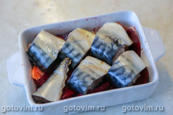 Скумбрия, запеченная на овощной подушке со свеклой и морковью Скумбрия, запеченная на овощной подушке со свеклой и морковью