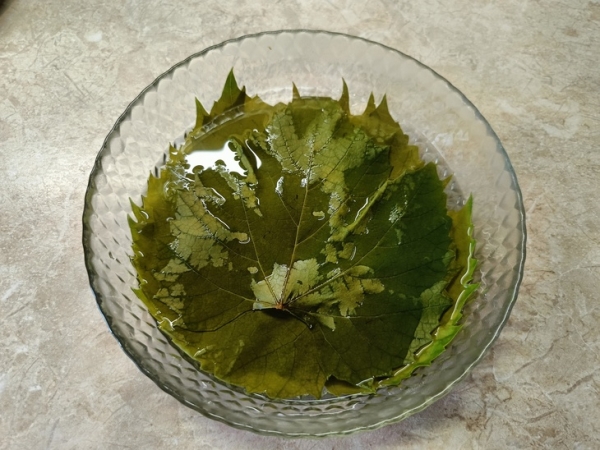 Чебуреки из виноградных листьев Чебуреки из виноградных листьев