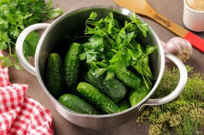 Малосольные огурцы быстрого приготовления в кастрюле Малосольные огурцы быстрого приготовления в кастрюле