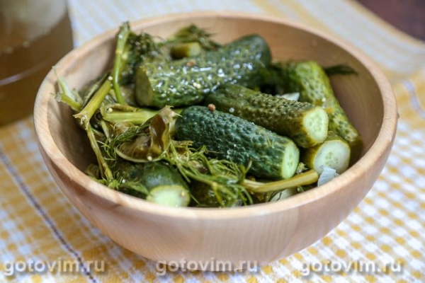 Малосольные огурцы с горчицей и кориандром