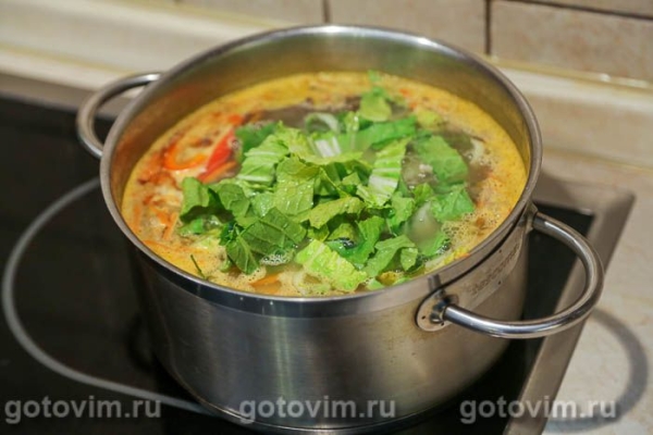 Суп из говядины с пекинской капустой и чили Суп из говядины с пекинской капустой и чили