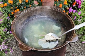 Уха из стерляди на костре