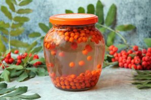 Компот из красной рябины на зиму Компот из красной рябины на зиму