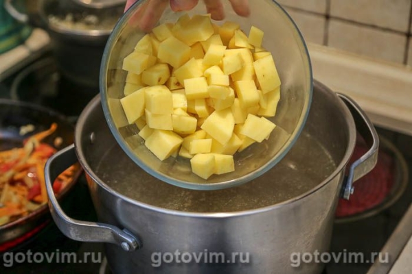 Щи с мясом и солеными грибами