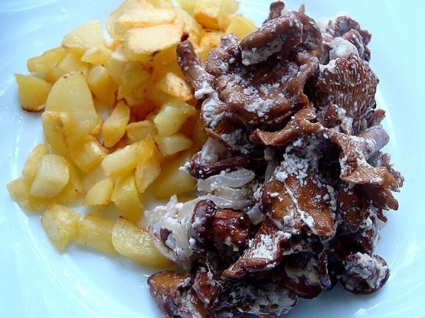 Запечённые лисички в сметане Запечённые лисички в сметане