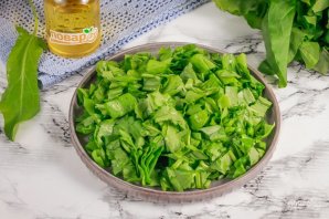 Заморозка щавеля на зиму Заморозка щавеля на зиму