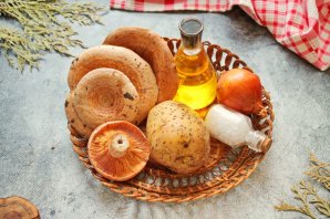 Рыжики жареные с картошкой Рыжики жареные с картошкой