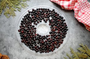 Черная смородина в сушилке на зиму Черная смородина в сушилке на зиму