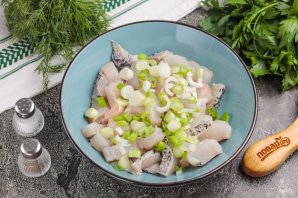 Тала из щуки Тала из щуки