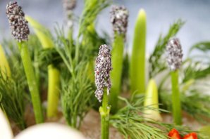 Заливное "Лебединое озеро"