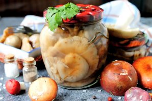 Сыроежки маринованные на зиму Сыроежки маринованные на зиму