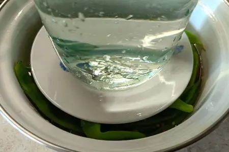 Турша (квашеная спаржевая фасоль) Турша (квашеная спаржевая фасоль)