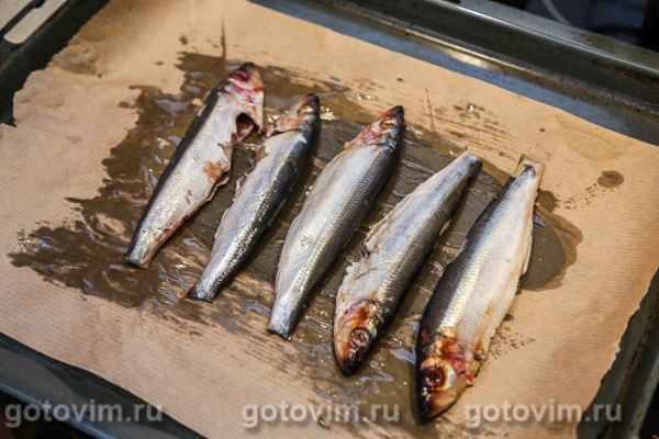 Салака в глазури из терияки, запеченная в духовке Салака в глазури из терияки, запеченная в духовке