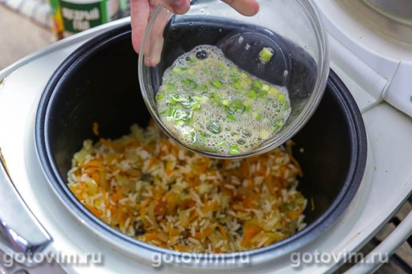 Жареный рис с зеленым луком и яйцом в мультиварке