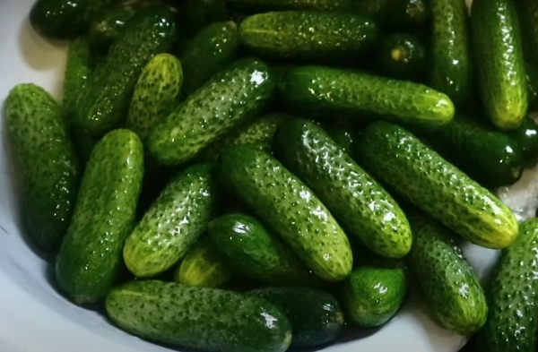 Рецепт «Детских» хрустящих огурцов. Маринад без уксуса: вкусно и полезно Рецепт «Детских» хрустящих огурцов. Маринад без уксуса: вкусно и полезно