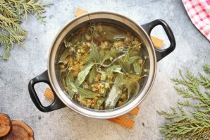 Мед из цветов липы Мед из цветов липы