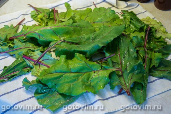 Заморозка свекольной ботвы на зиму Заморозка свекольной ботвы на зиму