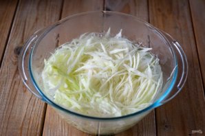 Капустник Капустник