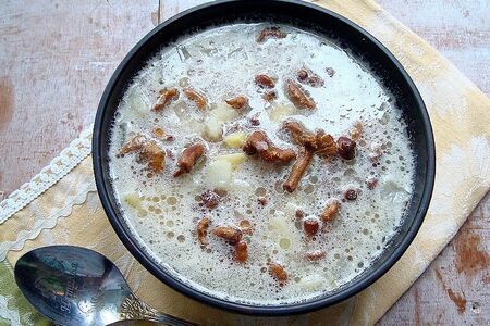 Суп из лисичек Суп из лисичек