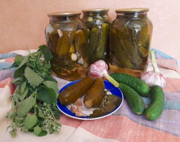 Маринованные огурцы с мятой Маринованные огурцы с мятой