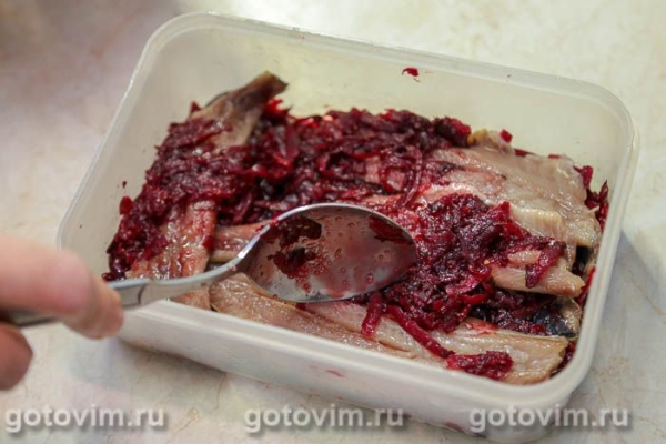 Иваси соленая (со свеклой) Иваси соленая (со свеклой)