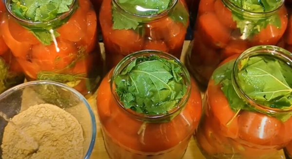 Сочные помидоры на зиму без уксуса и стерилизации: простой рецепт для хранения в квартире Сочные помидоры на зиму без уксуса и стерилизации: простой рецепт для хранения в квартире