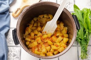 Щи из щавеля в мультиварке Щи из щавеля в мультиварке
