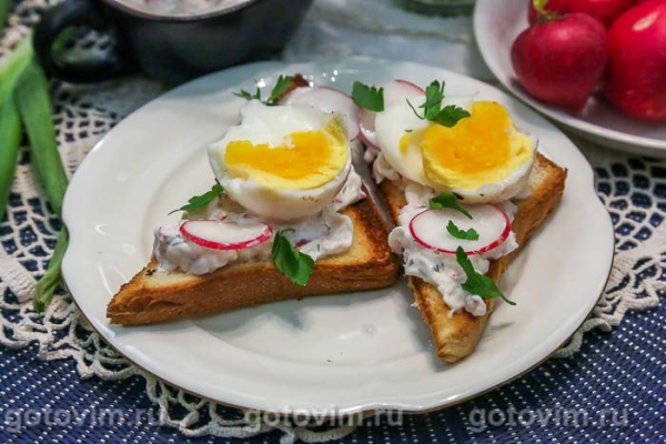 Тосты с творожным паштетом с редиской и вареным яйцом Тосты с творожным паштетом с редиской и вареным яйцом