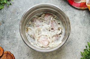 Вкусный шашлык из курицы Вкусный шашлык из курицы