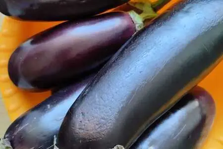 Меживо из баклажанов Меживо из баклажанов