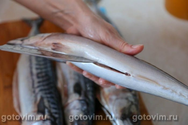 Скумбрия горячего копчения (в домашних условиях)