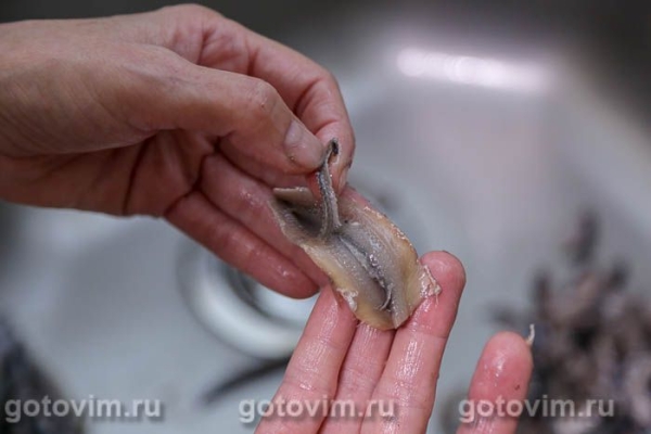Сухой посол хамсы с ароматным маслом