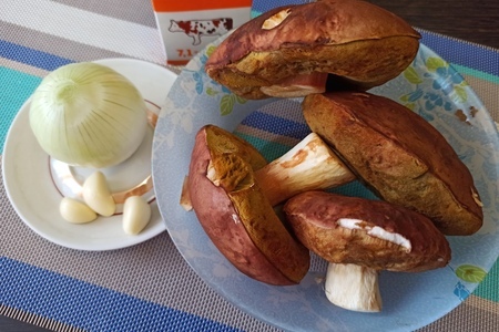 Суп-пюре из белых грибов Суп-пюре из белых грибов